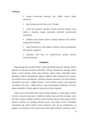 Elektrinis automobilis. Referatas 10 puslapis