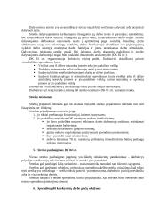 Streikas ir socialinė partnerystė 3 puslapis