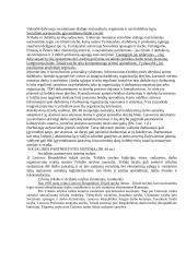 Streikas ir socialinė partnerystė 7 puslapis