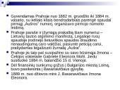 Jono Basanavičiaus biografija 4 puslapis