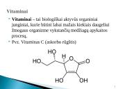 Maisto papildai skaidrės 5 puslapis