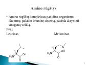 Maisto papildai skaidrės 7 puslapis