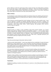 Nanotechnologijos - kas tai? 2 puslapis