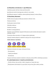 Instrumentinės analizės antras koliokviumas 20 puslapis