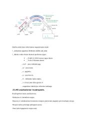Instrumentinės analizės antras koliokviumas 9 puslapis