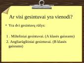 Gesintuvai 2 puslapis