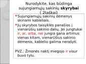 Sudėtinio sakinio skyrybos 6 puslapis