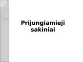 Sudėtinio sakinio skyrybos 7 puslapis