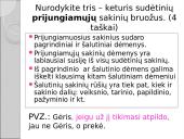 Sudėtinio sakinio skyrybos 8 puslapis