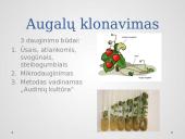 Klonavimas skaidrės 4 puslapis