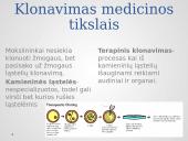 Klonavimas skaidrės 7 puslapis