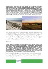 Kuršių Nerijos Smėlio Pustymo Problema 2 puslapis