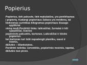 Ekologija skaidrės 4 puslapis