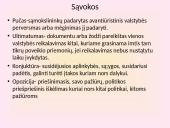 Antanas Smetona prezentacija 11 puslapis