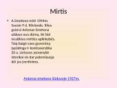 Antanas Smetona prezentacija 10 puslapis