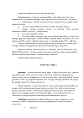 Originalus konspektas apie atmintį 6 puslapis