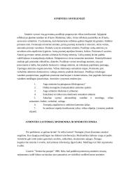 Originalus konspektas apie atmintį 9 puslapis