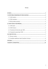 Genetiškai modifikuoti organizmai: nauda visuomenei ir slypintys pavojai 2 puslapis