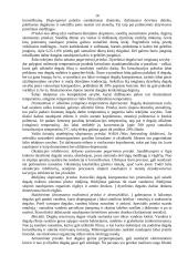 Eksploatacinės medžiagos - konspektas 10 puslapis