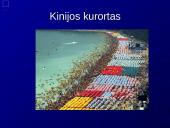 Viduramžių Japonija 12 puslapis