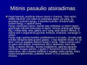 Viduramžių Japonija 10 puslapis