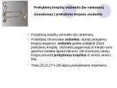 Prekybiniai irengimai 16 puslapis