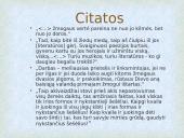 Šatrijos ragana skaidrės 12 puslapis