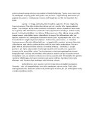 Viešoji kalba apie mandagumą 2 puslapis