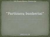 Partizanų bunkeriai
