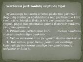 Partizanų bunkeriai 2 puslapis