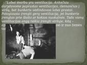 Partizanų bunkeriai 11 puslapis