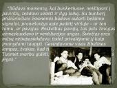 Partizanų bunkeriai 12 puslapis