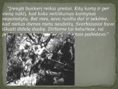 Partizanų bunkeriai 13 puslapis