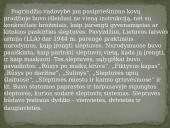 Partizanų bunkeriai 3 puslapis