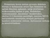 Partizanų bunkeriai 4 puslapis