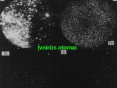 Molekulės ir atomai skaidrės 14 puslapis