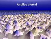 Molekulės ir atomai skaidrės 15 puslapis