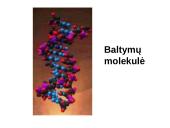 Molekulės ir atomai skaidrės 8 puslapis