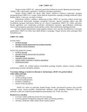 ,,GRIFS AG“ veiklos analizė 4 puslapis