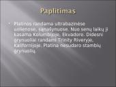 Skaidrės apie platiną 5 puslapis