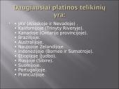 Skaidrės apie platiną 6 puslapis