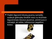 Krizių intervencija 11 puslapis