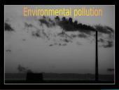 Environmental pollution 