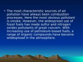 Environmental pollution  3 puslapis