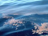 Environmental pollution  5 puslapis