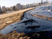 Environmental pollution  7 puslapis