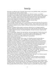 Prancūzija referatas 4 puslapis