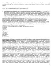 LR Konstitucinės teisės konspektas 6 puslapis