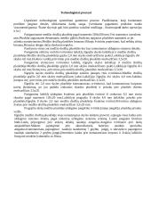 Uždegimo sistema su holo davikliu 11 puslapis