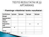 Fizinių ypatybių lavinimo testas 7 puslapis